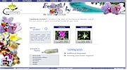 Caribbean Orchids Webseiten by Webmacon Intl