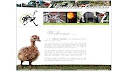 Caribbean Ostriches Webseiten by Webmacon Intl