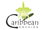 Caribbean Orchids Logo Ideen by Webmacon Intl